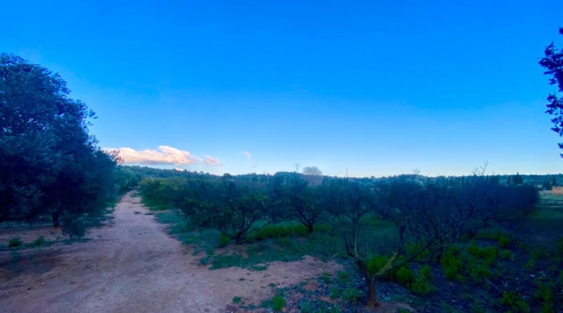 Tarragona - Masdenverge - 50m2