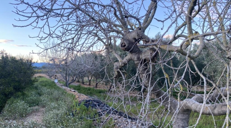 Tarragona - Masdenverge - 50m2