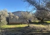 Masia amb terreny en venda a l'Ampolla ref.: TR394158 foto