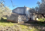 Masia amb terreny en venda a l'Ampolla ref.: TR394158 foto