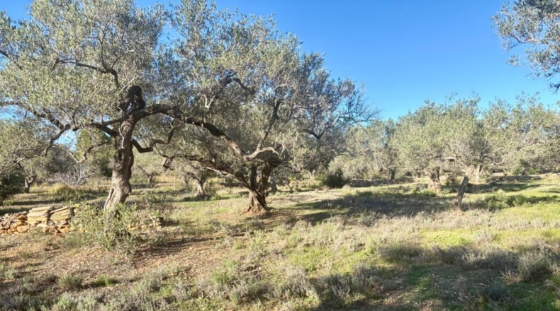 Tarragona - Л’Амполья - 90m2