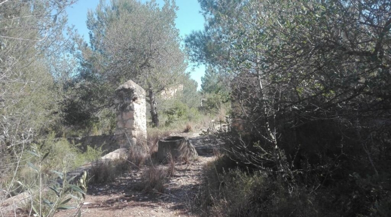 Tarragona - Tarragona - 51539m2