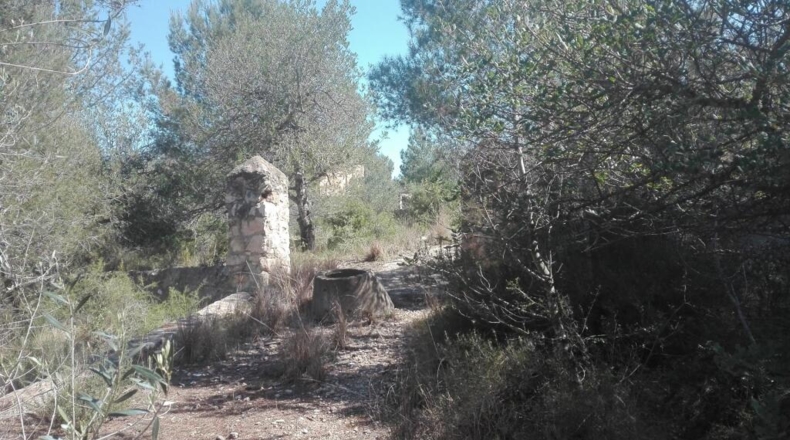 Tarragona - Tarragona - 51539m2