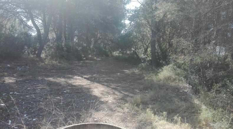 Tarragona - Tarragona - 51539m2