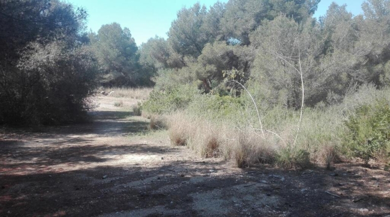 Tarragona - Tarragona - 51539m2