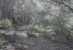 Foto 19