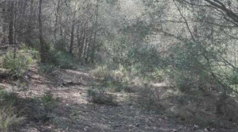 Tarragona - Tarragona - 51539m2
