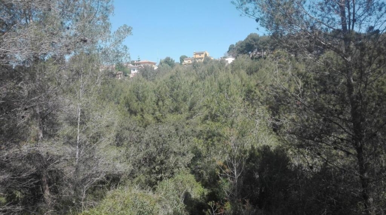 Tarragona - Tarragona - 51539m2