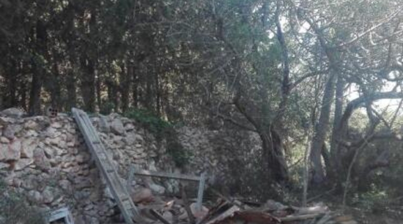 Tarragona - Tarragona - 51539m2