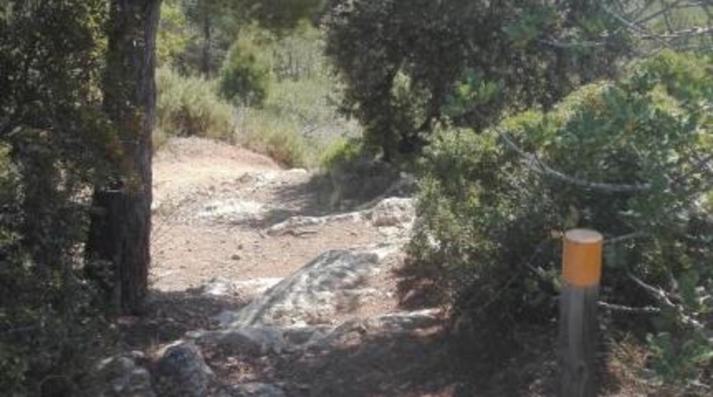 Tarragona - Tarragona - 18433m2