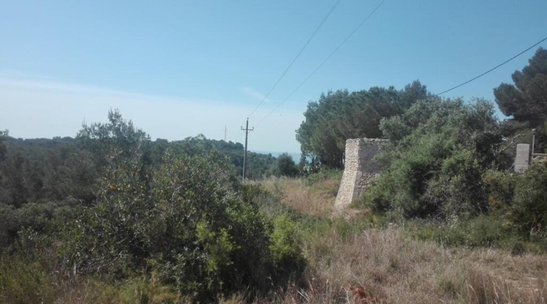 Tarragona - Tarragona - 18433m2