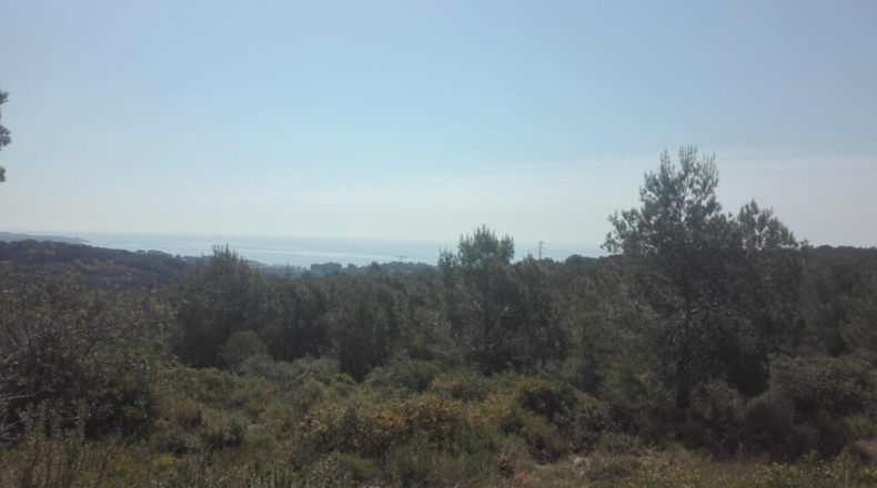 Tarragona - Tarragona - 18433m2