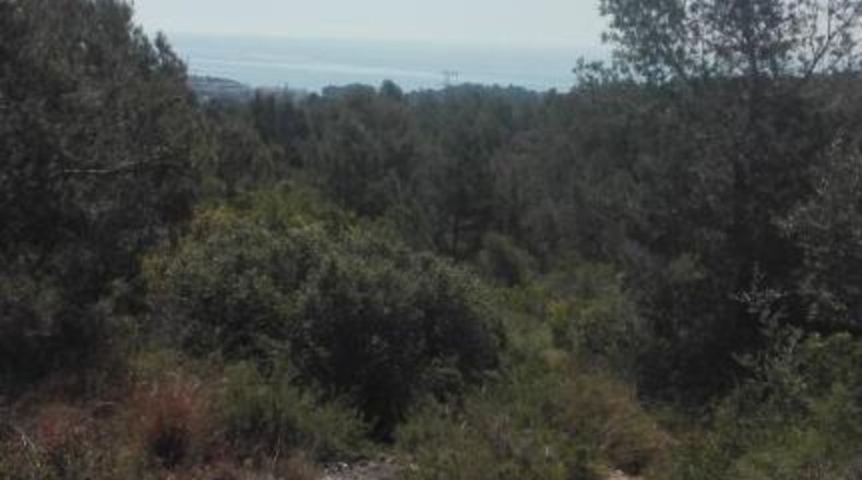 Tarragona - Tarragona - 18433m2