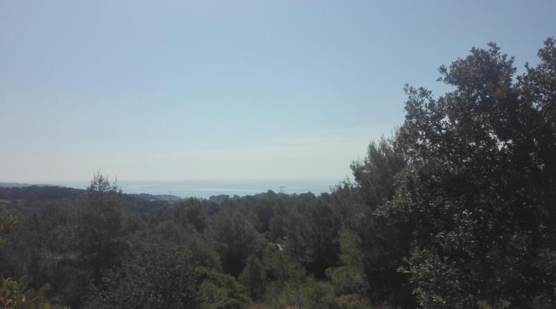 Tarragona - Tarragona - 18433m2