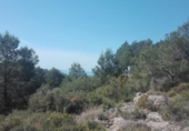 Terreny no urbanitzable en venda a la España, Tarragona, ref.: TR234970 foto