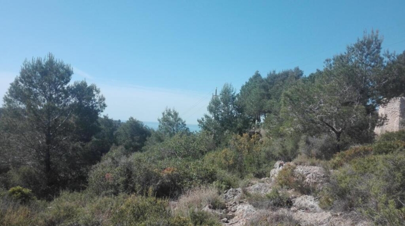 Tarragona - Tarragona - 18433m2