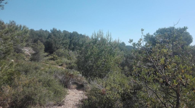 Tarragona - Tarragona - 18433m2