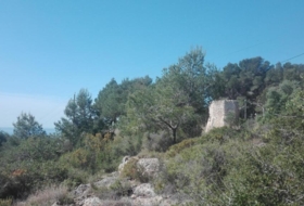 Foto 9