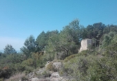 Terreny no urbanitzable en venda a la España, Tarragona, ref.: TR234970 foto