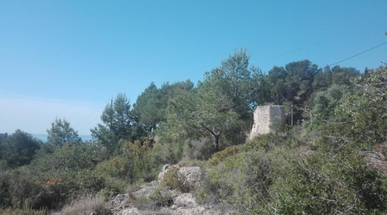Tarragona - Tarragona - 18433m2