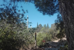 Foto 8