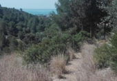 Terreny no urbanitzable en venda a la España, Tarragona, ref.: TR234970 foto