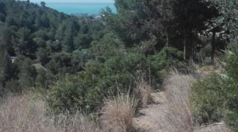 Tarragona - Tarragona - 18433m2