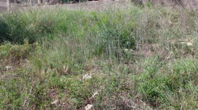 Tarragona - el Catllar - 516m2
