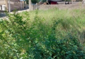 Sòl urbà en venda a la del Barcelonès, el Catllar, ref.: TR234715 foto