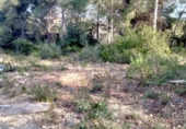 Sòl urbà en venda a la de l'Espígol, el Catllar, ref.: TR234714 foto