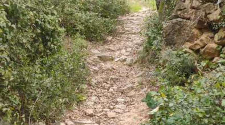 Tarragona - Montblanc - 4550m2