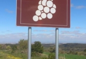 Non-developable land for sale on Tarrega-ag.s.m.., Sant Martí de Maldà, ref: TR234967 photo
