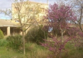 Non-developable land for sale on Tarrega-ag.s.m.., Sant Martí de Maldà, ref: TR234967 photo