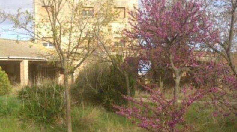 Lérida - Sant Martí de Maldà - 5627m2