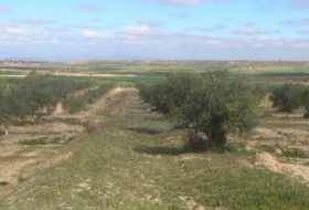 Sant Martí de Maldà 45627&nbsp;m²