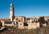 Non-developable land for sale on Tarrega-ag.s.m.., Sant Martí de Maldà, ref: TR234967 photo
