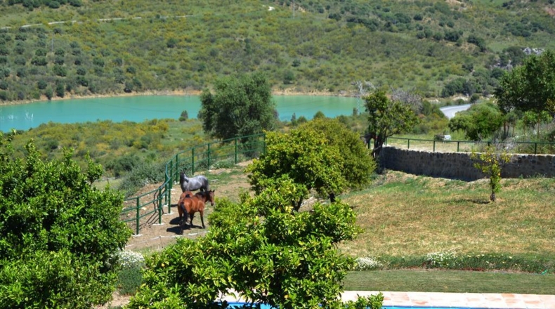 Cádiz - Prado del Rey - 90000m2
