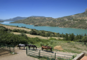 Masia with land for sale in Montecorto ref: TR235309 photo
