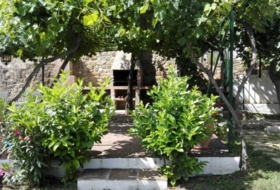Foto 15