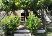 Masia with land for sale in Montecorto ref: TR235309 photo