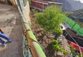 Masía con terreno en venta en la Doctor Heraclio Sánchez, Tejeda, ref: TR308813 foto