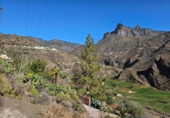 Masía con terreno en venta en la Doctor Heraclio Sánchez, Tejeda, ref: TR308813 foto