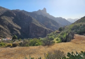 Masía con terreno en venta en la Doctor Heraclio Sánchez, Tejeda, ref: TR308813 foto