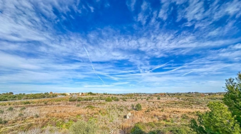 Alicante - Pedreguer - 63692m2