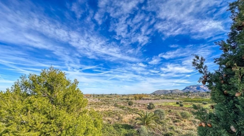 Alicante - Pedreguer - 63692m2
