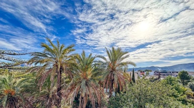 Alicante - Pedreguer - 63692m2