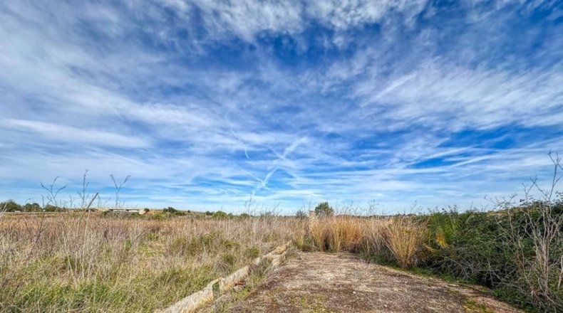 Alicante - Pedreguer - 63692m2
