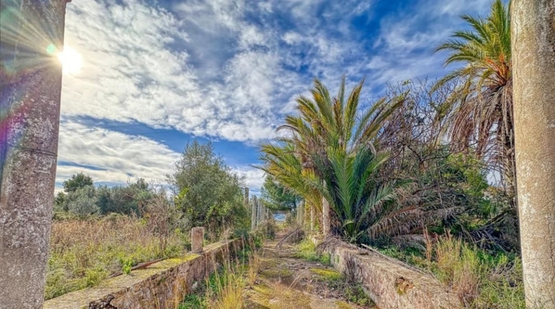 Alicante - Pedreguer - 63692m2