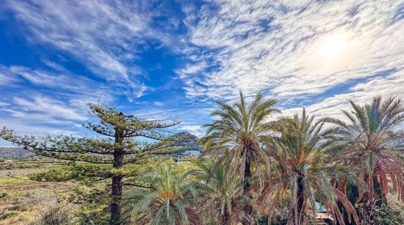 Alicante - Pedreguer - 63692m2