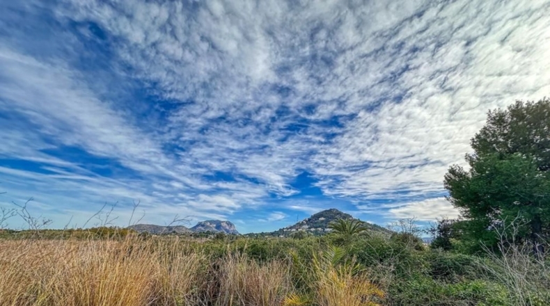 Alicante - Pedreguer - 63692m2